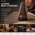 Music Accessories